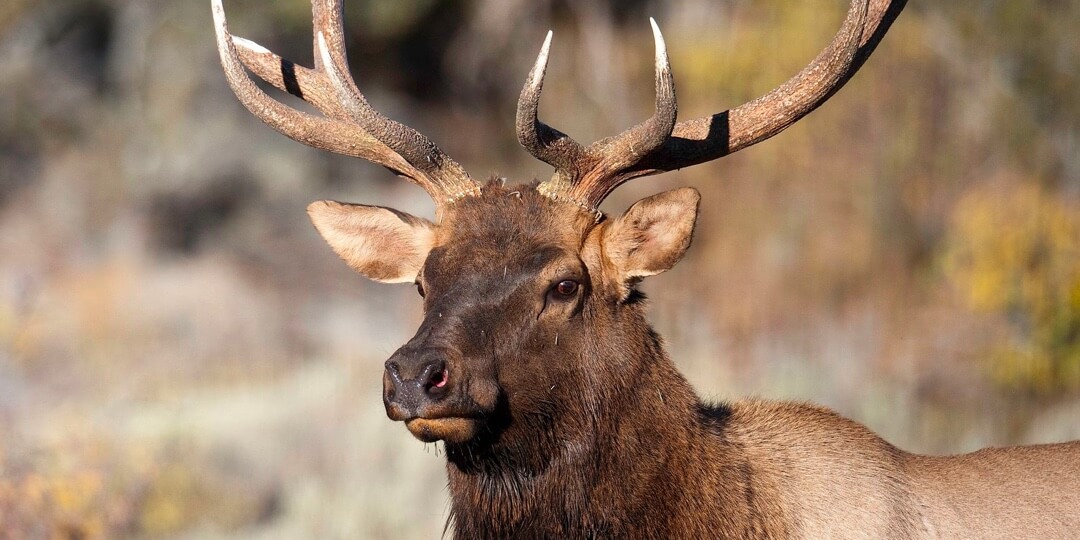 Discover wildlife trail location